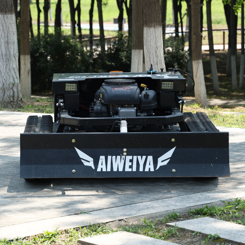Customized High Power Remote L - Snow Blower Single ulasan dan harga
